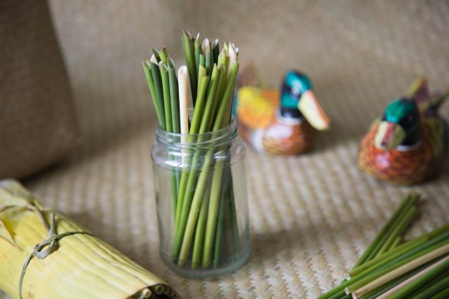 Sự lựa chọn từ thiên nhiên