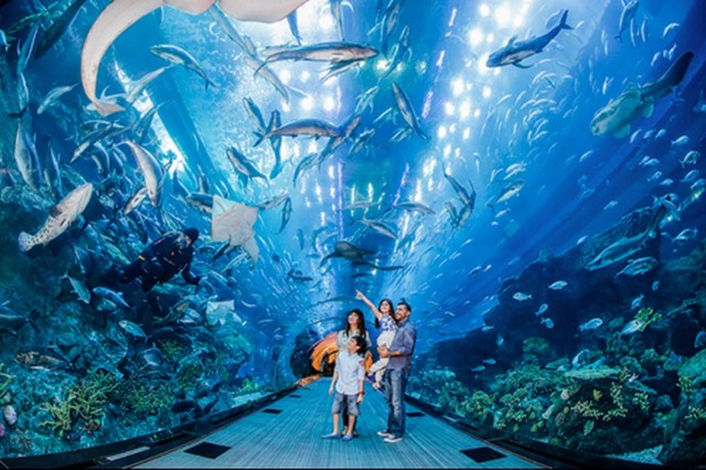 Bay Singapore – Nhân đôi ưu đãi