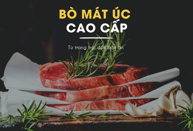 AVG Food & Beverage và tham vọng xây dựng đế chế số 1 trong ngành thực phẩm nhập khẩu