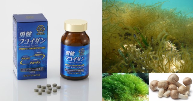 Yuken Fucoidan – sản phẩm hỗ trợ điều trị ung thư từ Nhật Bản