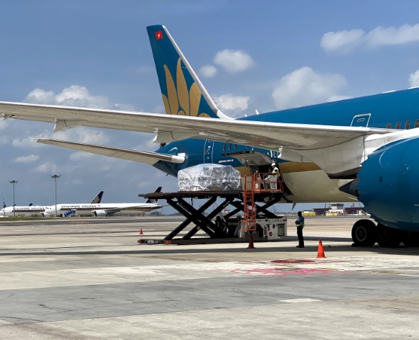 Vietnam Airlines supported in export to Singapore amid COVID-19