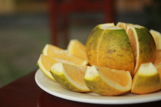 Cao Phong oranges to be served on VNA’s flights