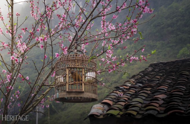 [Điểm đến] Hà Giang – Miền đá xám nở hoa