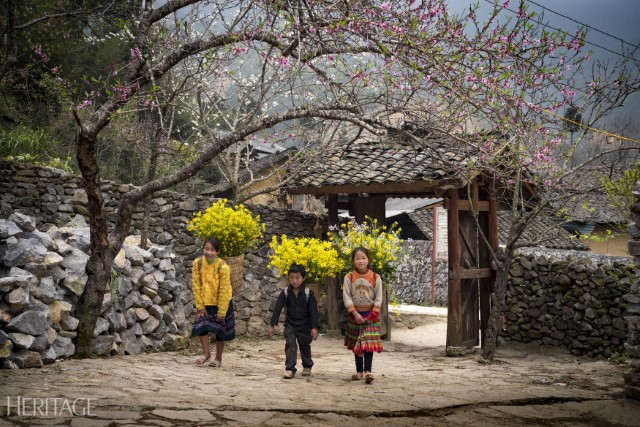 [Destination] Ha Giang – Where gray rocks bloom