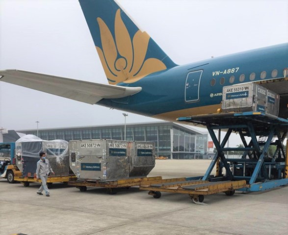 VNA Carries Medical Supplies from Central Committee of Vietnam Fatherland Front Free of Charge in COVID-19 Response