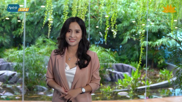 [Spirit Channel] Tips No.7 Điều kiện để khách tham gia vận tải hàng không nội địa