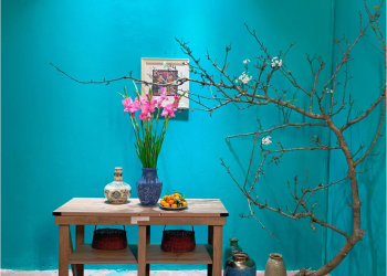 Cắm một bình hoa xuân