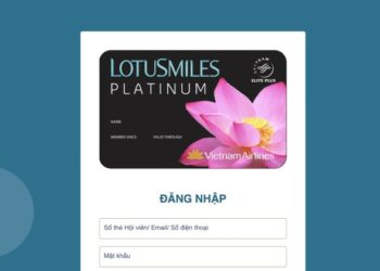 Ra mắt phần mềm xuất vé và quản lý quỹ vé miễn giảm cước xúc tiến thương mại trực tuyến