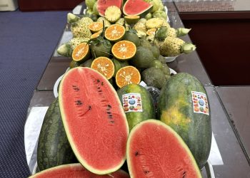 “Vitamin ASOC – ngại chi nắng nóng”