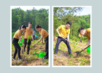 Vietnam Airlines đồng hành cùng Lễ phát động Quốc gia Tuần lễ Biển và Hải đảo Việt Nam