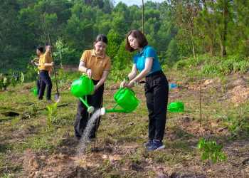 Vietnam Airlines đồng hành cùng Lễ phát động Quốc gia Tuần lễ Biển và Hải đảo Việt Nam