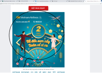 Xóa sổ website “nhái” website của Vietnam Airlines