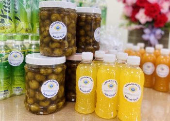 Công đoàn NCTS với hoạt động “giải nhiệt mùa hè”