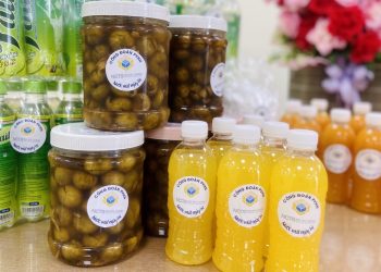 Công đoàn NCTS với hoạt động “giải nhiệt mùa hè”