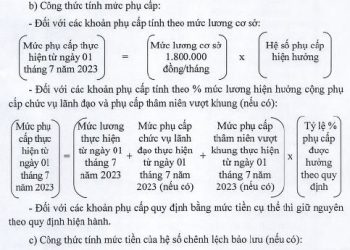 Chính sách của Nhà nước về lương hưu, trợ cấp bảo hiểm xã hội, trợ cấp hằng tháng