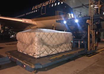 Vận chuyển vải quả đi quốc tế của Vietnam Airlines tăng mạnh
