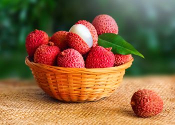 Vận chuyển vải quả đi quốc tế của Vietnam Airlines tăng mạnh