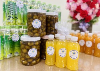 Công đoàn NCTS với hoạt động “giải nhiệt mùa hè”