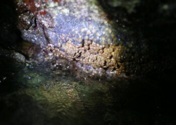 Khám phá hòn đảo “núi lửa” triệu năm tuổi và những trải nghiệm có thể bạn chưa biết tới