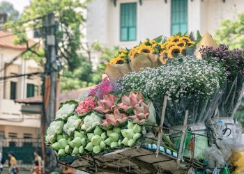 Tận hưởng sắc thu – vi vu khắp chốn cùng Vietnam Airlines