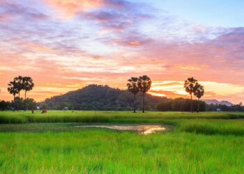 [Khi tôi 30] Lời người thiếu nữ gửi người xa xứ