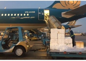 [Khi tôi 30] Chiến binh sân đỗ