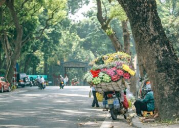 [Spirit Channel] VNA Destinations: Thưởng thức mùa thu Hà Nội