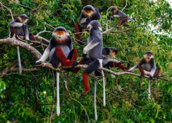 Đừng bỏ qua địa điểm này nếu bạn tới Đà Nẵng