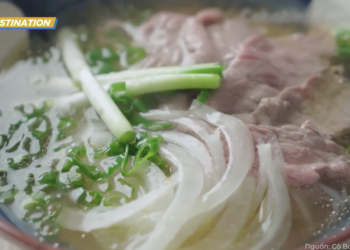 [Spirit Channel] VNA Destination: 8 món bún, phở, lẩu ngon nhất miền Bắc theo Taste Atlas