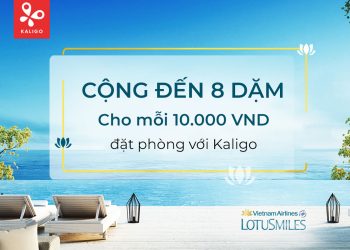 Tận hưởng chuyến đi với Kaligo