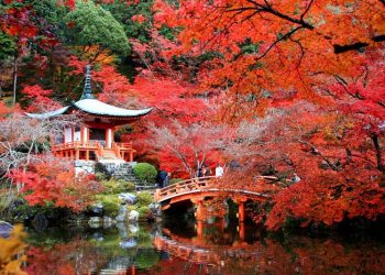 [Spirit Channel] VNA Destination: 4 thành phố nhuộm sắc vàng đỏ mùa thu Nhật Bản.