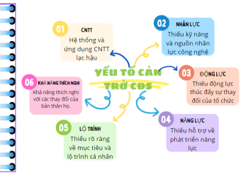 Một số nhận định quan trọng được rút ra sau khảo sát về Văn hóa số Vietnam Airlines