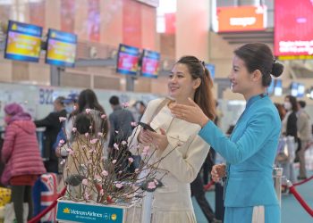 Vietnam Airlines vận chuyển cành đào, cành mai dịp Tết Giáp Thìn 2024