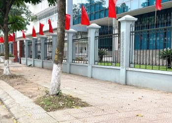 TCT quán triệt về việc không đỗ xe trên vỉa hè đường Hoàng Minh Đạo