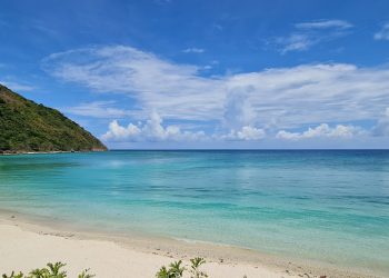 Bảo tồn rùa biển trên hòn Bảy Cạnh