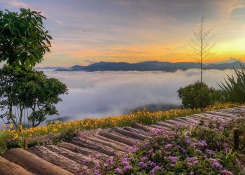 [Spirit Channel] Đà Lạt điểm đến mộng mơ