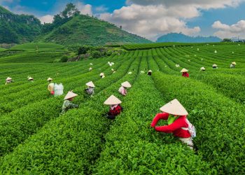 [Spirit Channel] Những điểm đến tuyệt vời dành cho người yêu sự yên tĩnh