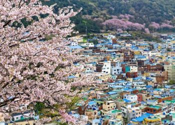 [Spirit Channel] Khám phá những món ngon ở thành phố biển Busan, Hàn Quốc (Phần 1)