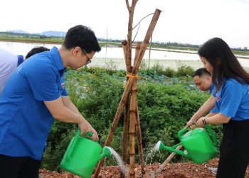 ĐTN VAECO hưởng ứng Ngày Môi Trường Thế Giới với công trình “Hàng Cây Thanh Niên”