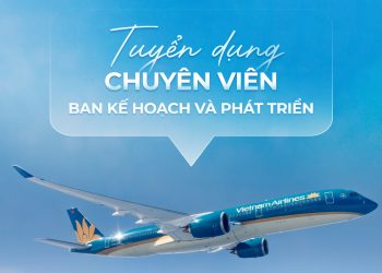 Tuyển dụng: Chuyên viên Ban Kế hoạch và Phát triển 2024