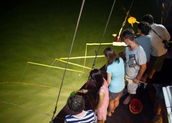 [Spirit Channel] Khám phá tour câu mực đêm ở Hạ Long