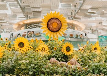Aviation News 5/9: Sân bay Changi Singapore trang trí theo chủ đề hoa hướng dương