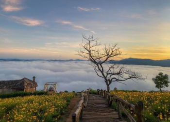 Khám phá 5 điểm đến mùa thu lãng mạn nhất Việt Nam