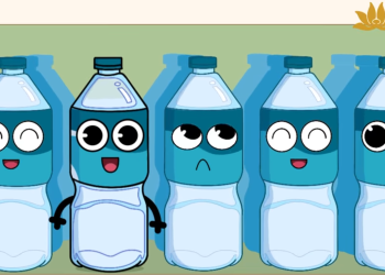 Hành trình “tái sinh” từ chai nhựa