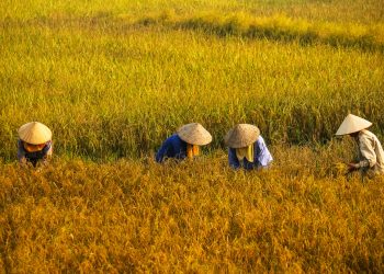 Việt Nam là điểm đến được du khách Đức yêu thích