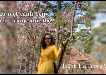 [Cánh Sen Truyền Lửa] Có một cánh sen miền Trung như thế