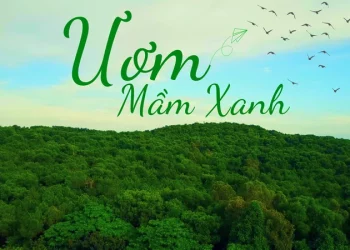 Ươm mầm xanh: Kết nối âm nhạc và hành động vì môi trường