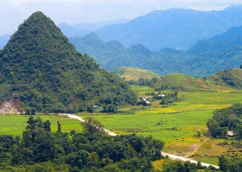 [VTV] Vietnam Airlines giành giải thưởng ‘Ý tưởng phát triển bền vững’ tại Human Act Prize 2024