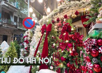 [VNA Where] Cùng Vietnam Airlines đón Giáng sinh ở 3 miền đất nước (Phần 1)