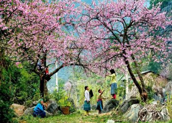 Xu hướng du lịch xuyên Tết nhiều trải nghiệm